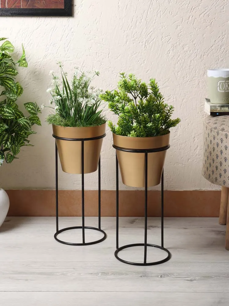 Standard Metal Black Planters With Tall Golden Stand Set Of 2