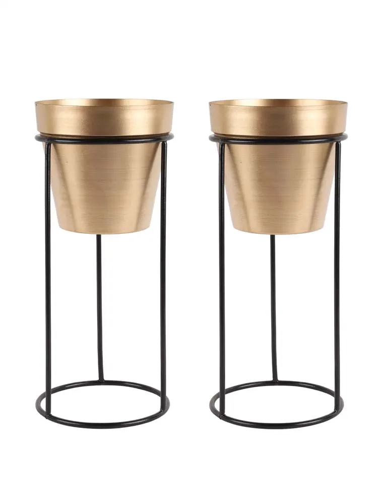 Standard Metal Black Planters With Tall Golden Stand Set Of 2