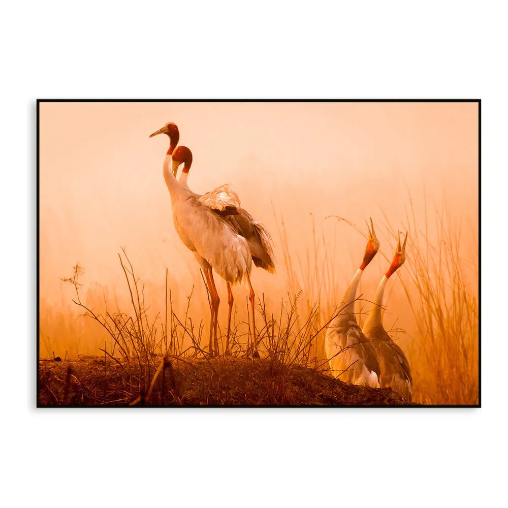 Striking Sarus Crane Rectangular Canvas Wall Painting With Frame