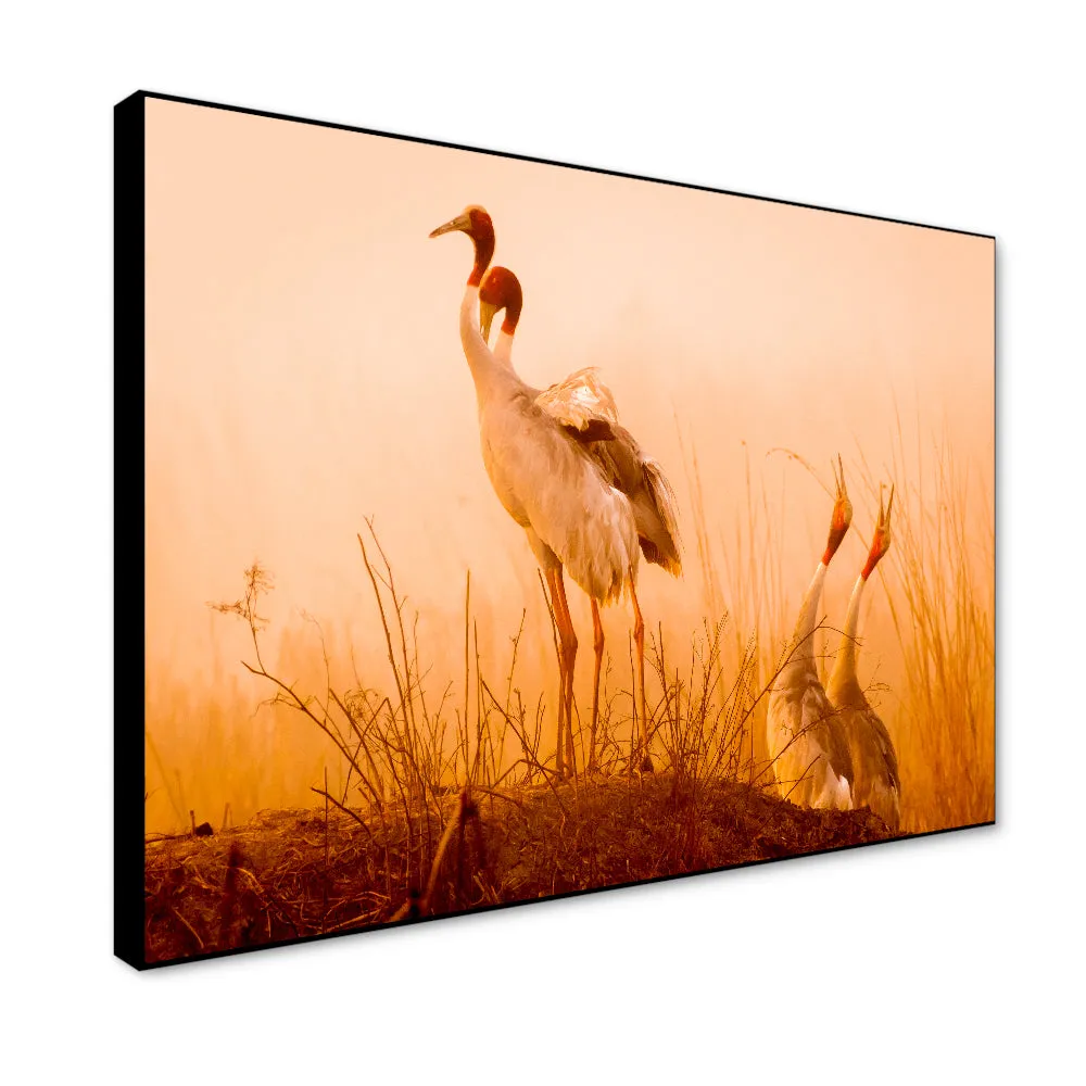 Striking Sarus Crane Rectangular Canvas Wall Painting With Frame