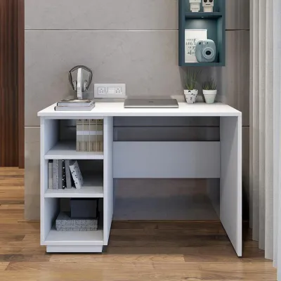 WallMantra Study Desk in Frosty White Finish
