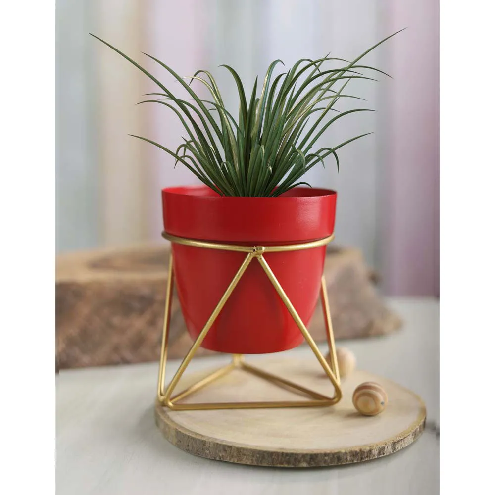 Stunning Red and Gold Resilient Metal Plant Pot Set Of 1 Single Piece