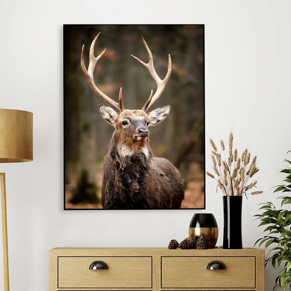Stunning Red Deer Portrait Wildlife Painting With Frame
