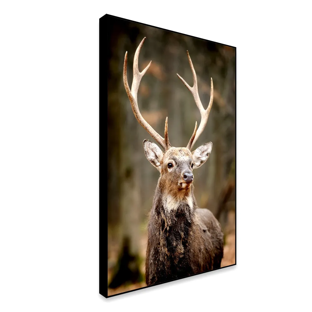 Stunning Red Deer Portrait Wildlife Painting With Frame