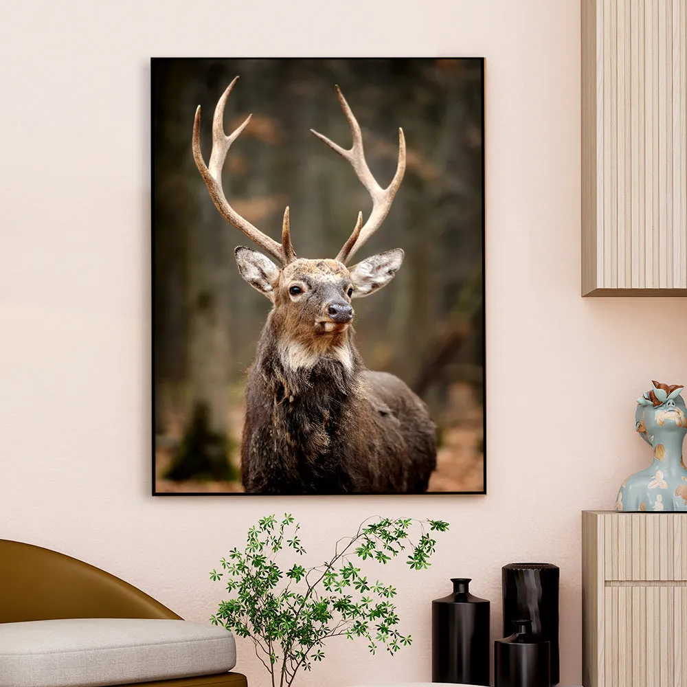 Stunning Red Deer Portrait Wildlife Painting With Frame