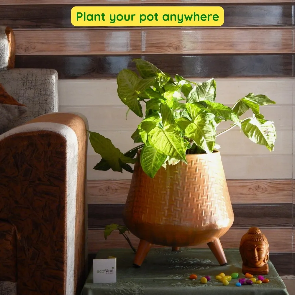 Stunning Set of 2 Rope Textured Indoor Metal Plant Stand with Pot- Orange