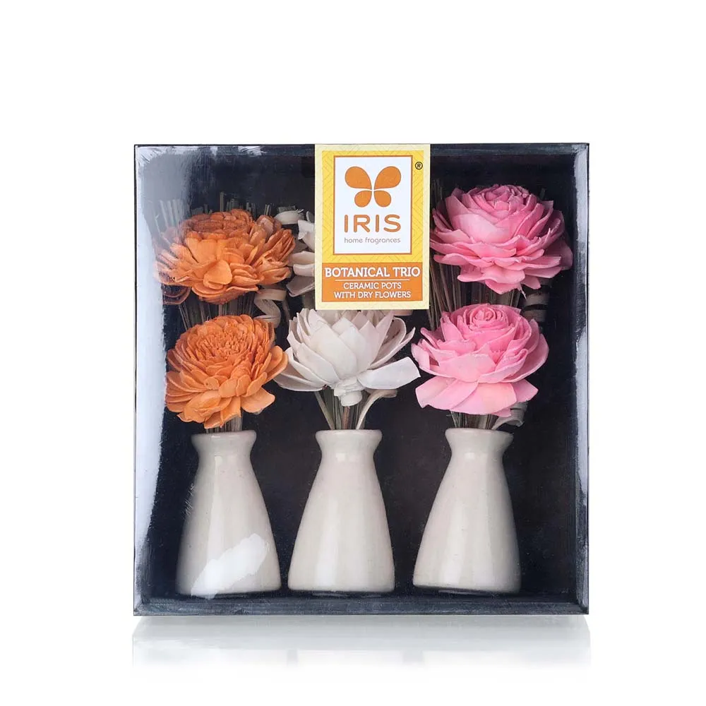 Stunning Set of 3 Mini Ceramic Pot with Dried Flower