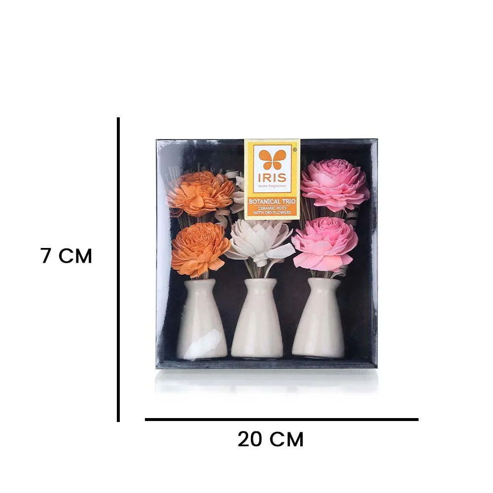 Stunning Set of 3 Mini Ceramic Pot with Dried Flower