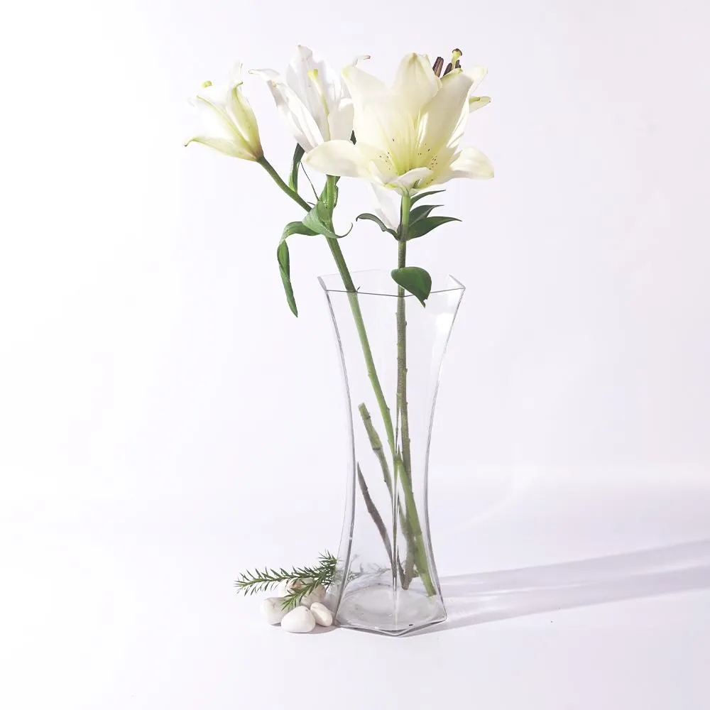 Swanky Concave Hexagon Glass Vase