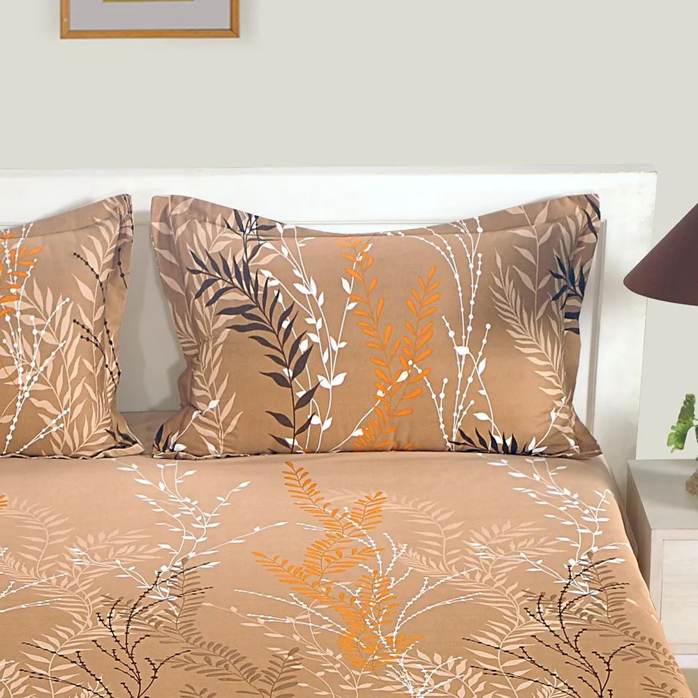 Swayam Choco Charm Zinnia Collection Double Bedsheet with 2 pillow covers Double Bedsheet (90 x 108 Inches)