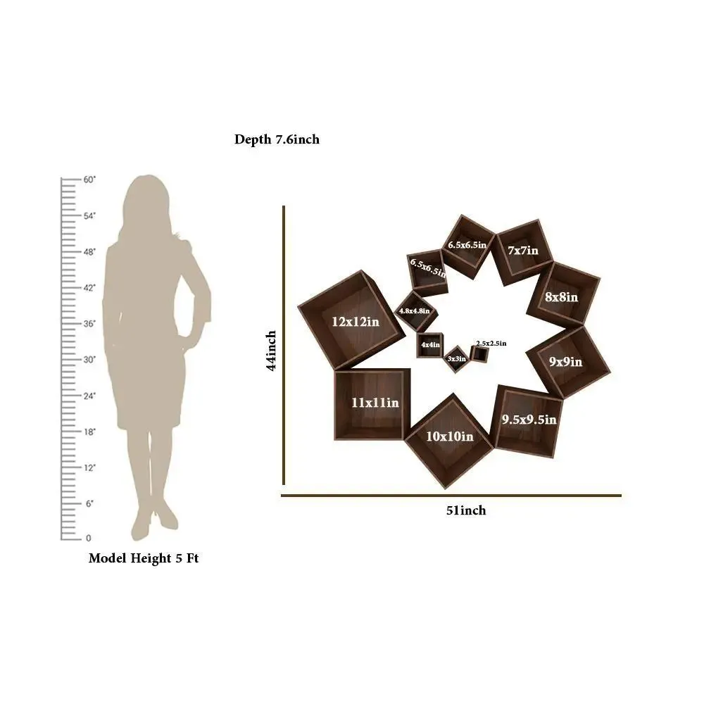 The Warp Wood Wall Cabinet / Book Shelf, Walnut Finish