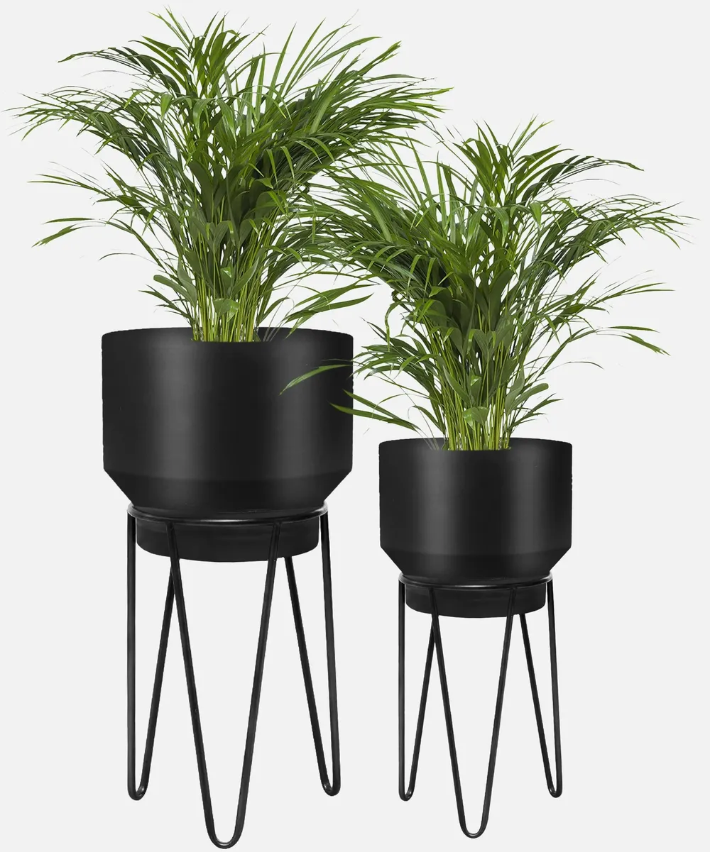 Timeless Metallic Black Planter Pots with Sturdy Long Stands (Set of 2)