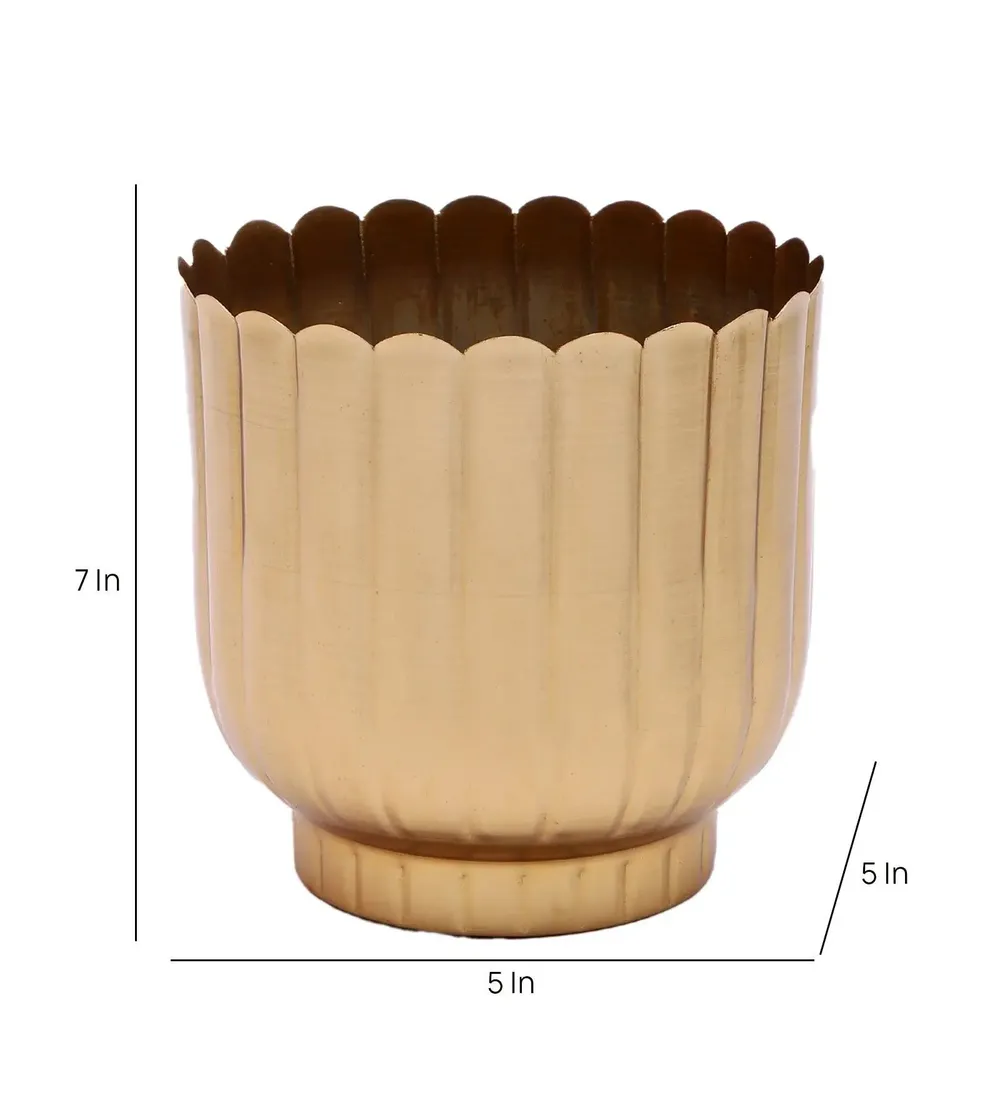 Timeless Striped Gold Flower Pot Set of 2