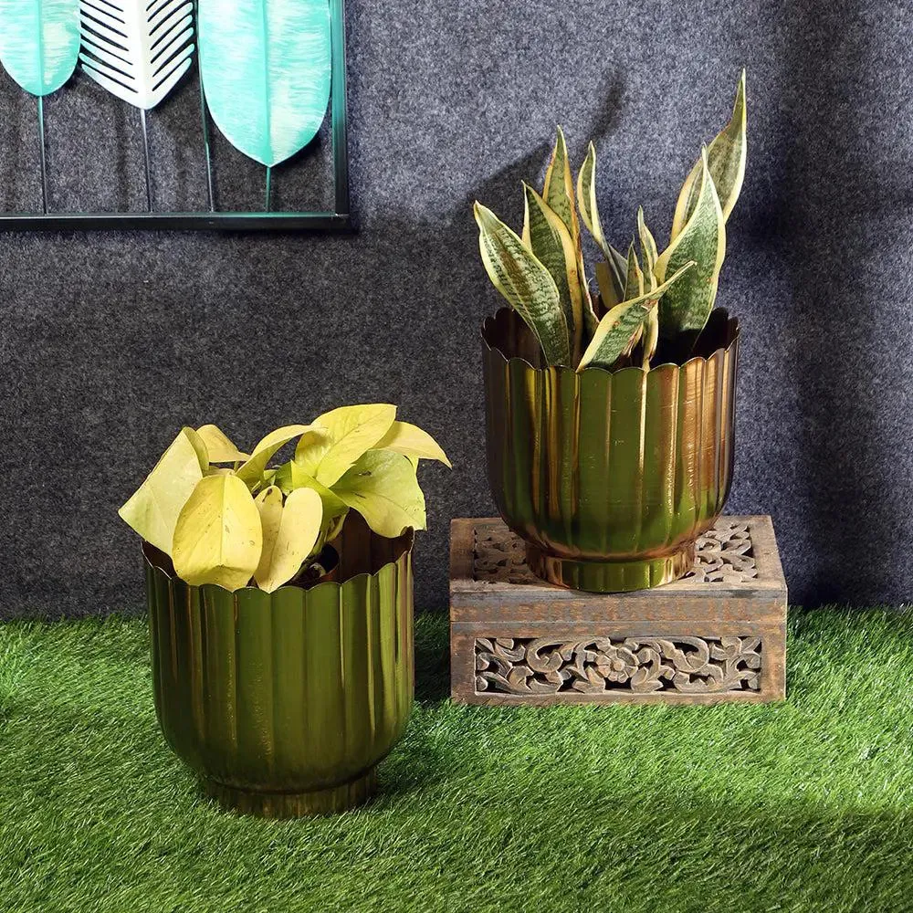 Timeless Striped Gold Flower Pot Set of 2