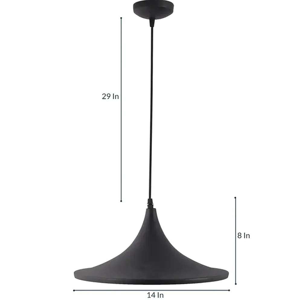 Traditional Black Focus Hanging Light