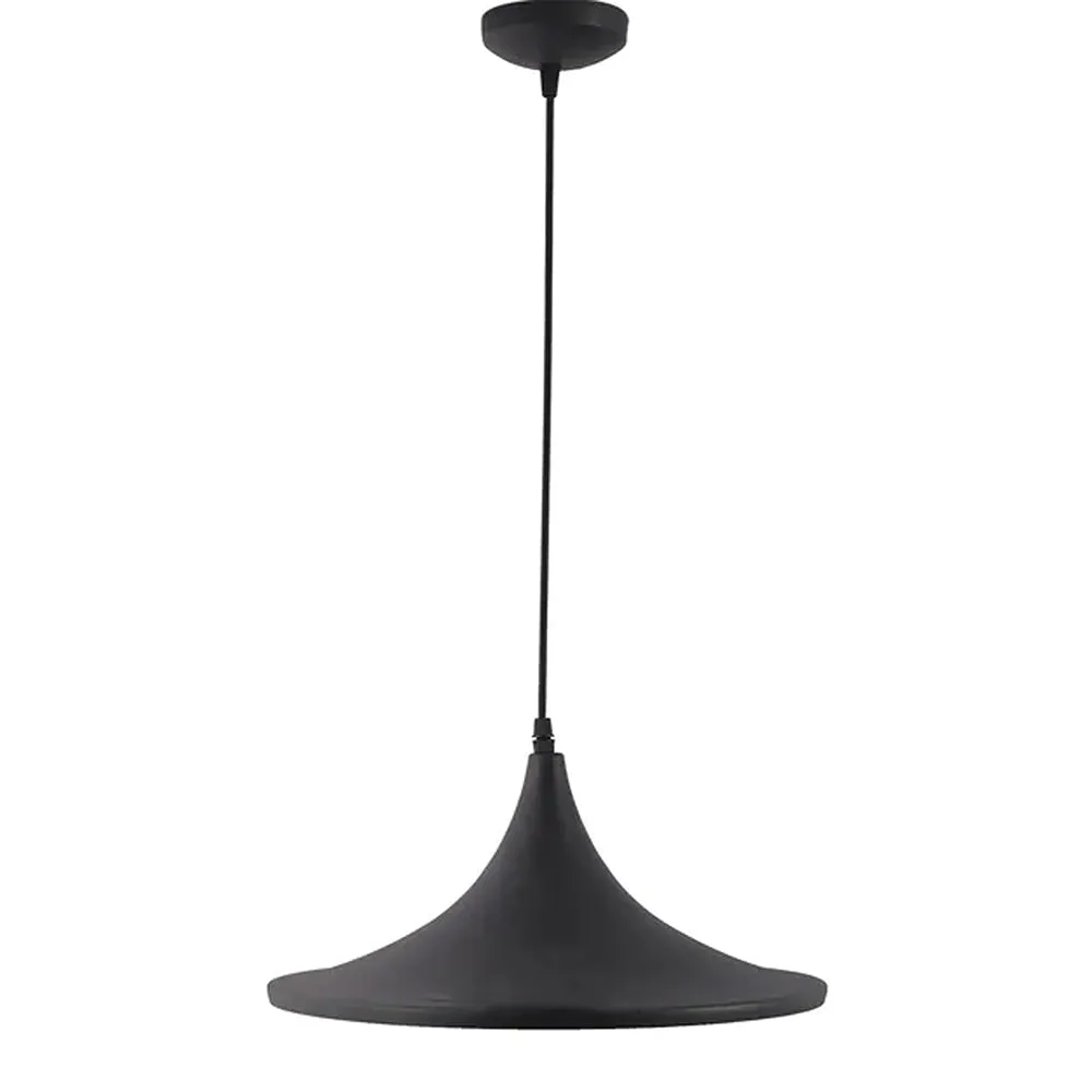 Traditional Black Focus Hanging Light