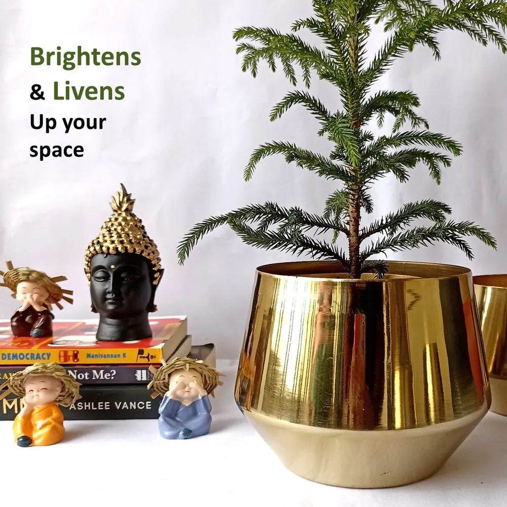Traditional Design Shiny Gold Metal Plant Pot