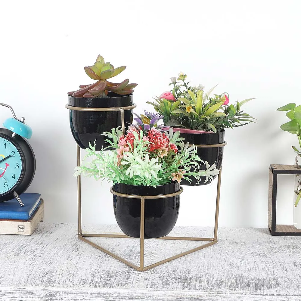 Triangular Black & Golden Metal Planter Stand