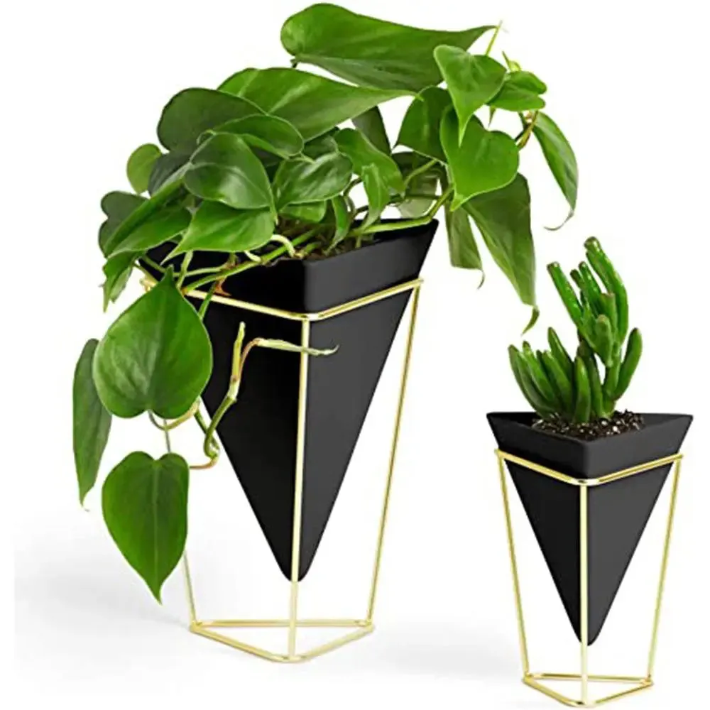 Triangular Black Planter Pots with Metallic Gold Stands (Set of 2)