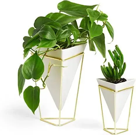 Triangular White Planter Pots with Metallic Gold Stands (Set of 2)