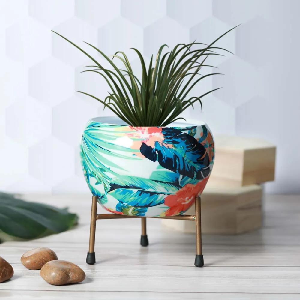 Tropical Blue and Golden Resilient Metal Plant Pot With Stand Set Of 1 Single Piece