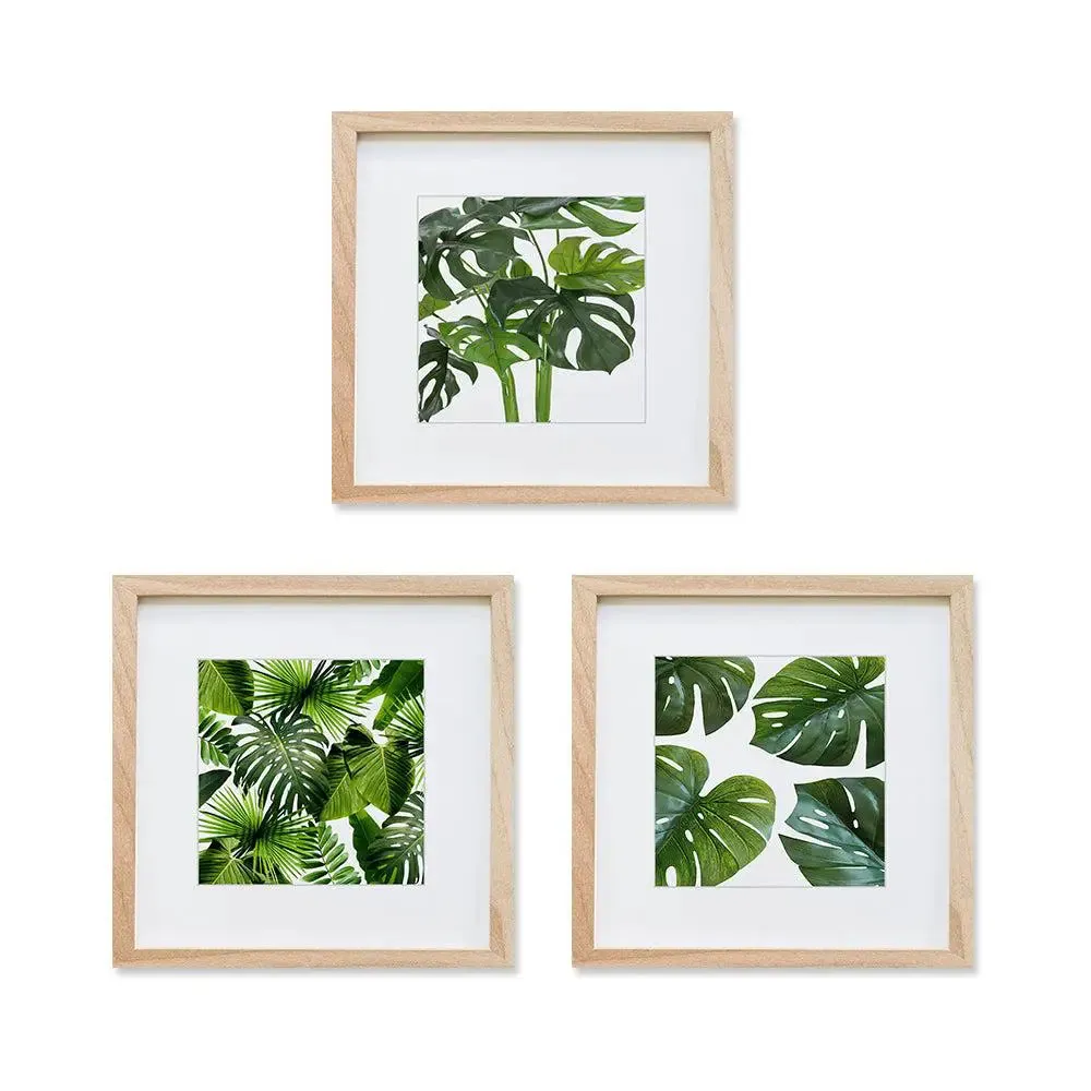 Tropical Natural Leaf Wall Frame Painting