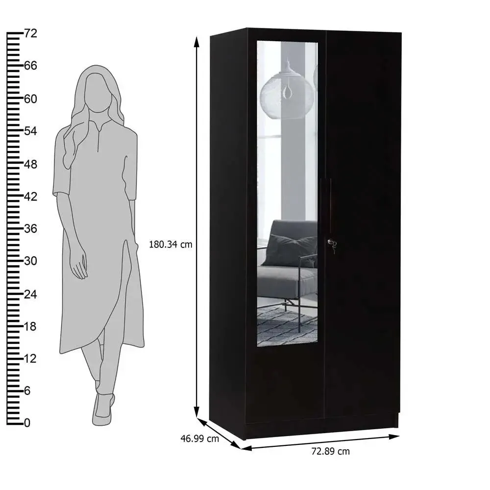 Wenge Engineered Wood 2 Door Wardrobe With Mirror