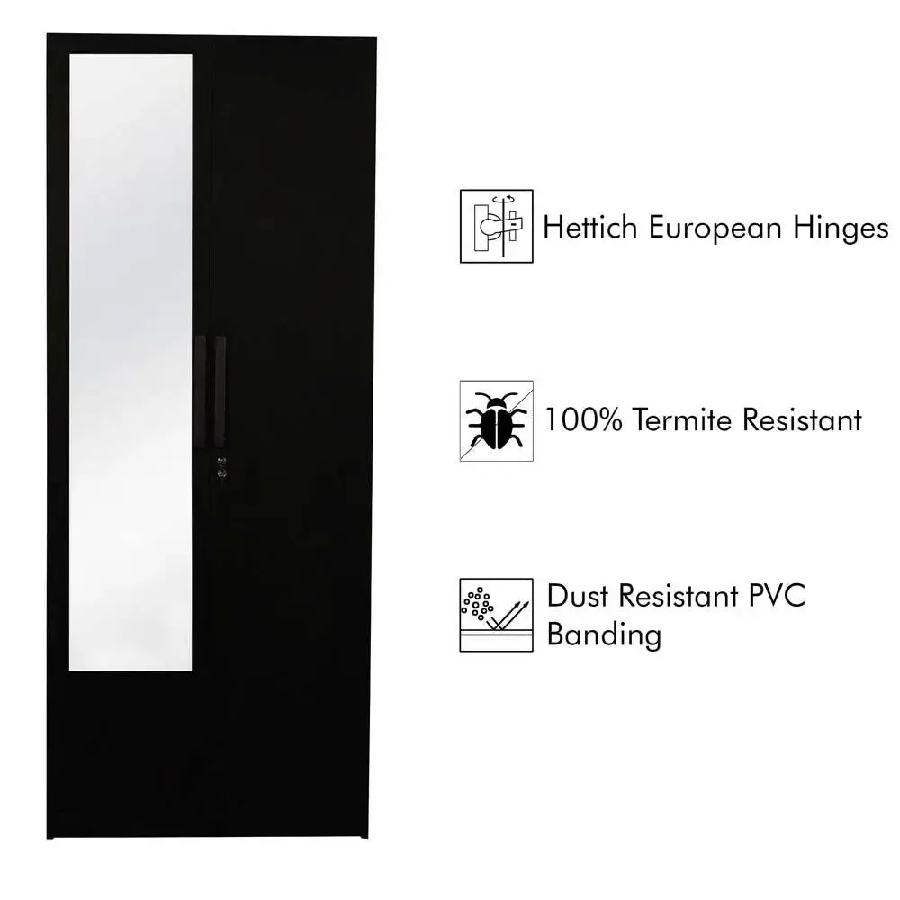 Wenge Engineered Wood 2 Door Wardrobe With Mirror