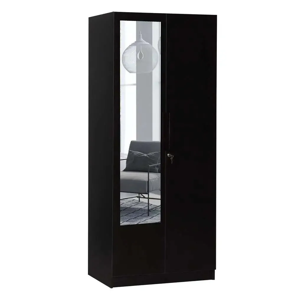 Wenge Engineered Wood 2 Door Wardrobe With Mirror