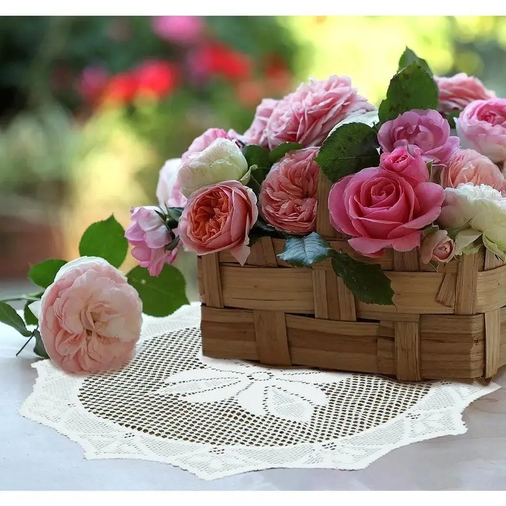 White Designer Polyester Placemat Set Of 6