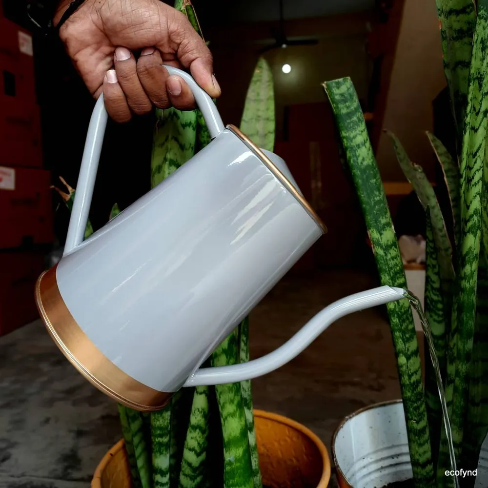 White Metal Watering Can For Home Gardening