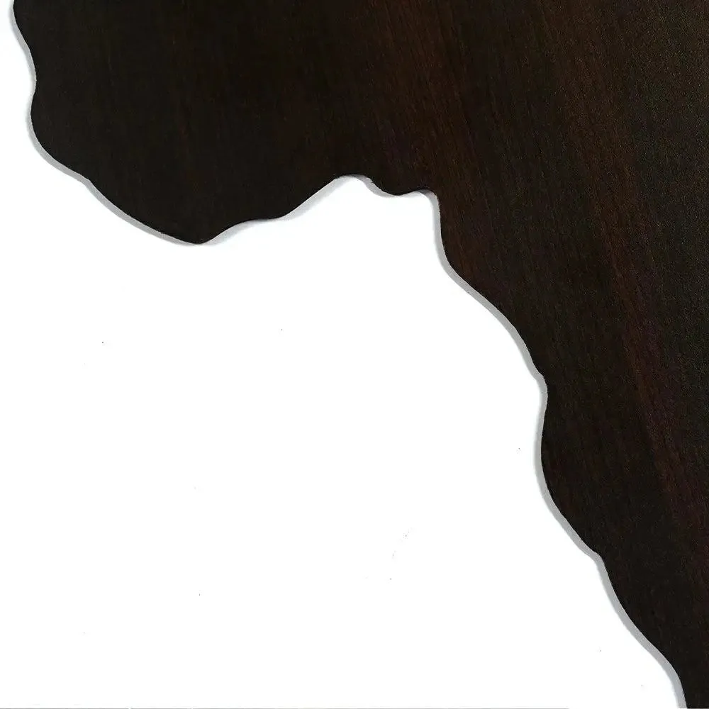 World Map Backlit Wood Acrylic Wall Décor / Night Light, Walnut Finish