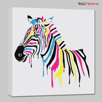Zebra Colourful DIY(Do-It-Yourself)/ Paint by numbers canvas painting kit